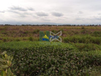 Terreno  355000m² 