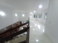 Casa 5 Quartos 350m² 