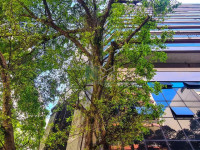 Apartamento 2 Quartos 72m² 