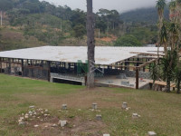 Terreno  1233m² 