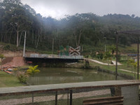 Terreno  1233m² 