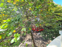 Apartamento 3 Quartos 120m² 