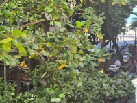 Apartamento 3 Quartos 120m² 