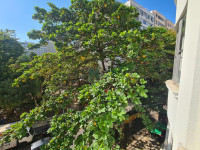 Apartamento 3 Quartos 120m² 