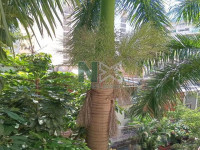 Apartamento 3 Quartos 91m² 