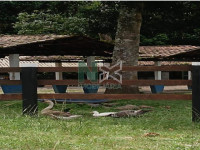 Apartamento 1 Quartos 30m² 