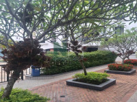 Apartamento 3 Quartos 85m² 
