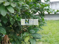 Terreno  180m² 