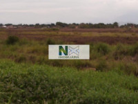 Terreno  355000m² 