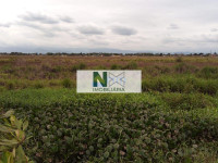 Terreno  355000m² 