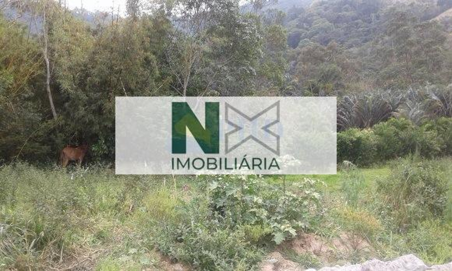 Terreno  200m² 