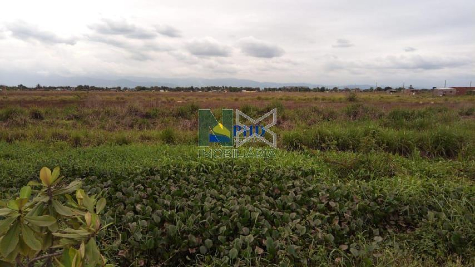 Terreno  355000m² 