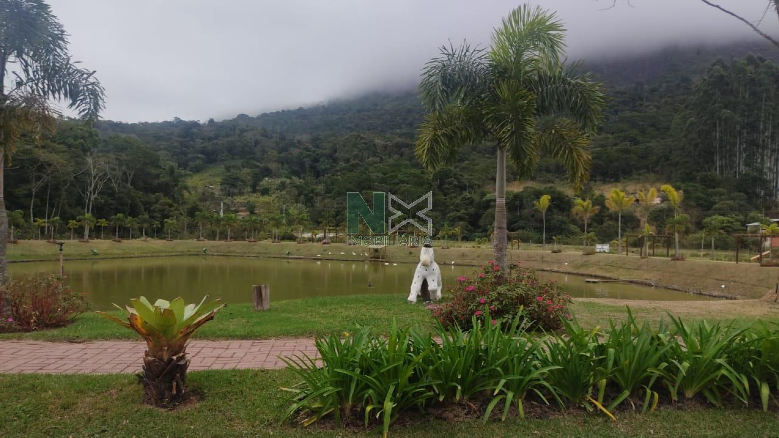 Terreno  1233m² 