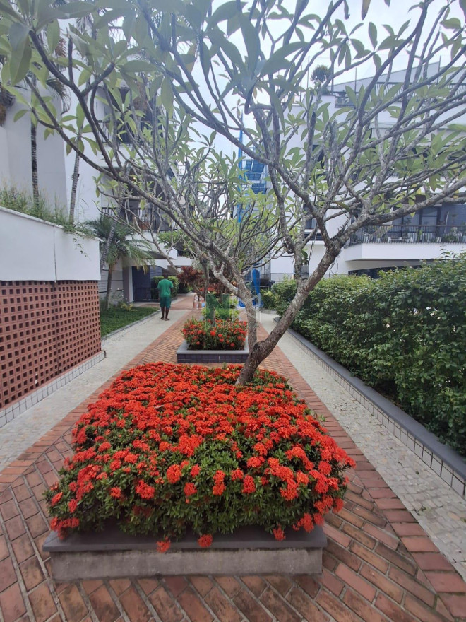 Apartamento 3 Quartos 85m² 
