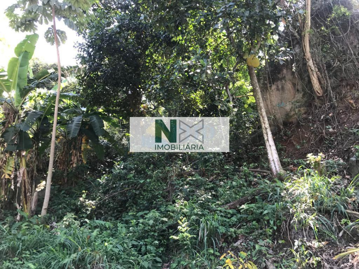 Terreno  15700m² 