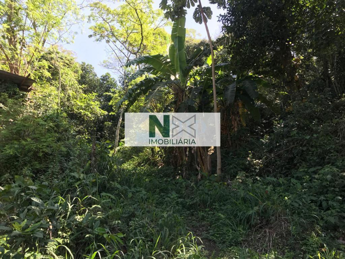 Terreno  15700m² 