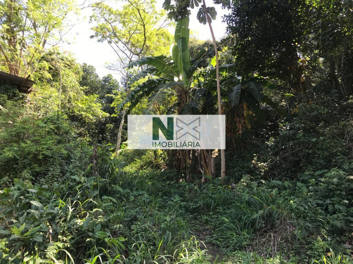 Terreno  15700m² 