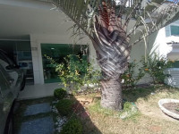 Casa 4 Quartos 184m² Casa 4 Quartos 184m²